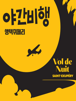 cover image of 야간비행